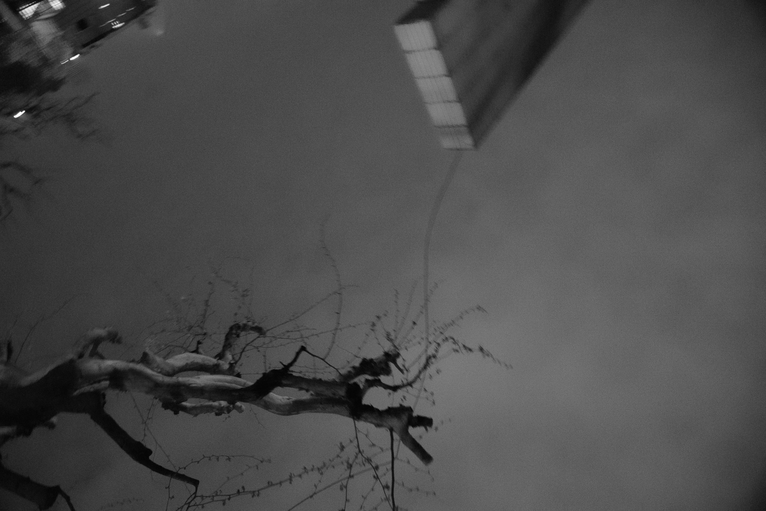 上海 2020 image 45